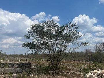 UNA HECTÁREA IDEAL PARA CONSTRUIR UNA QUINTA