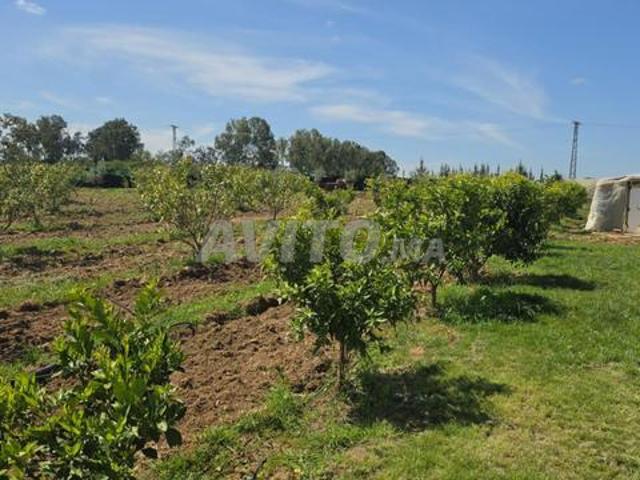 Une ferme à vendre