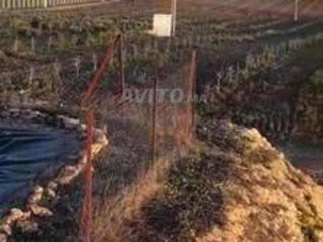 Une ferme à vendre