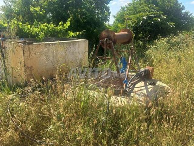 Une ferme à ne pas rater