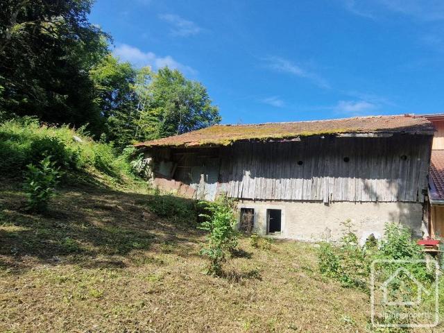 Une ferme mitoyenne à rénover entièrement avec un énorme pot. 230m² Orcier