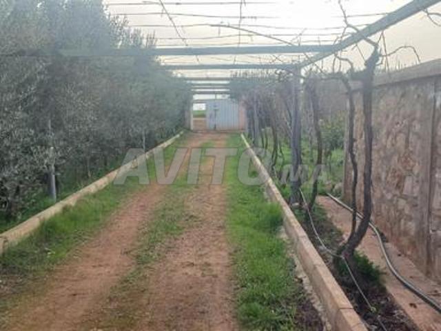 Une ferme top