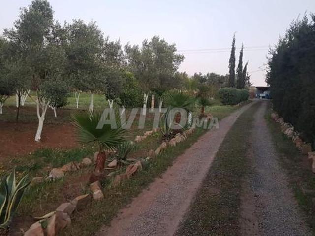 Une petite ferme à vendre