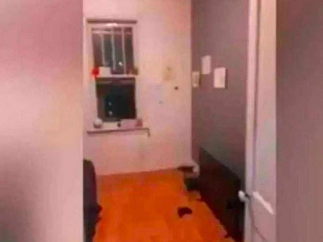 Units For Rent Immediately