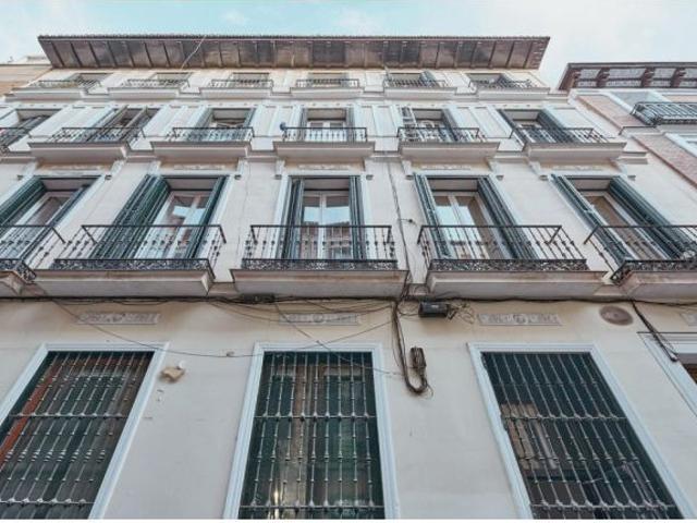 Universidad – Centro