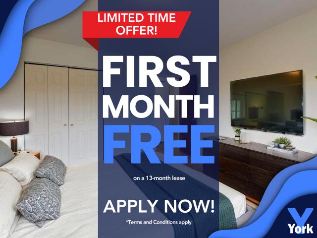 University Avenue Apartments Junior One Bedroom [object Promise] for Rent