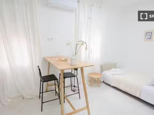 ¡Recién llegado! Estudio en alquiler en Berruguete, Madrid