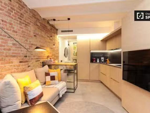 ¡Recién llegado! Estudio en alquiler en Eixample, Barcelona