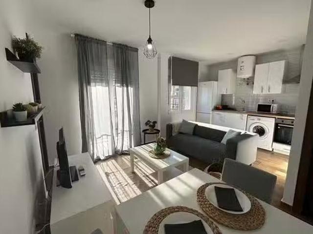 Acogedor Piso de 1 habitación en Calle San Clemente