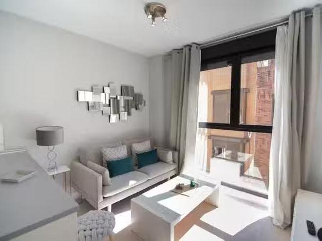 Acogedor Piso de 1 habitación en Madrid