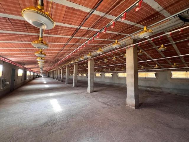 Unidad industrial en venta Alcublas