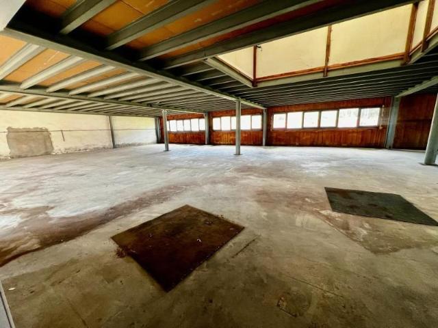 Unidad industrial en venta Bergara