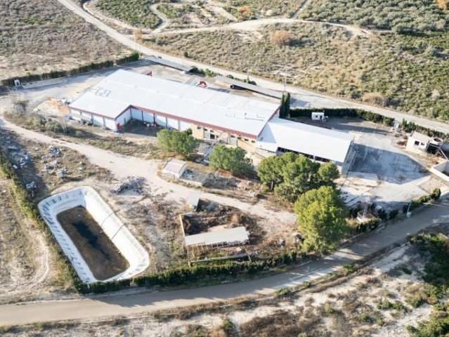 Unidad industrial en venta Cieza