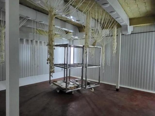 Unidad industrial en venta Guijuelo