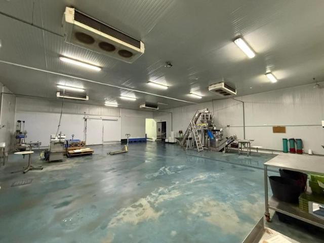 Unidad industrial en venta Pilas