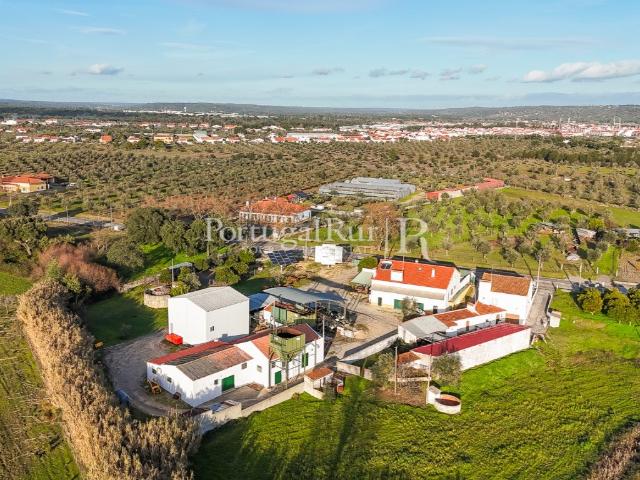 Unidade Industrial de Produção de Azeite & Elevado Potencial. 606m² Ponte de Sor, Tramaga e Vale de Açor