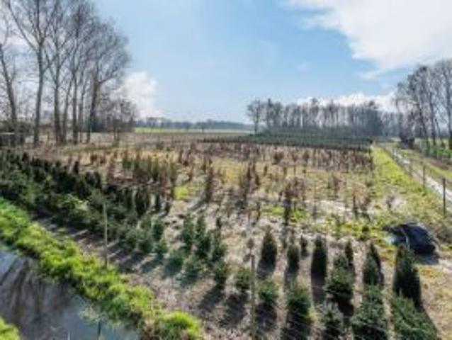 Uniek perceel bouwgrond in het landelijke Sint Pauwels
