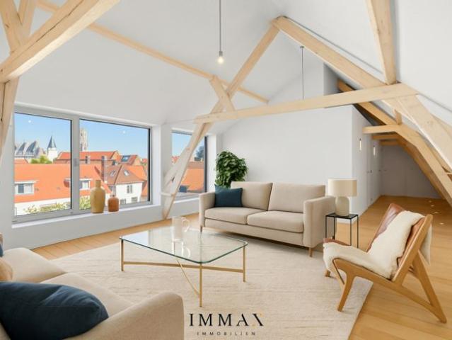Unieke penthouse met terras en prachtig zicht over de skylin