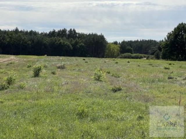 Uniemyśl, 1001 m² Działka