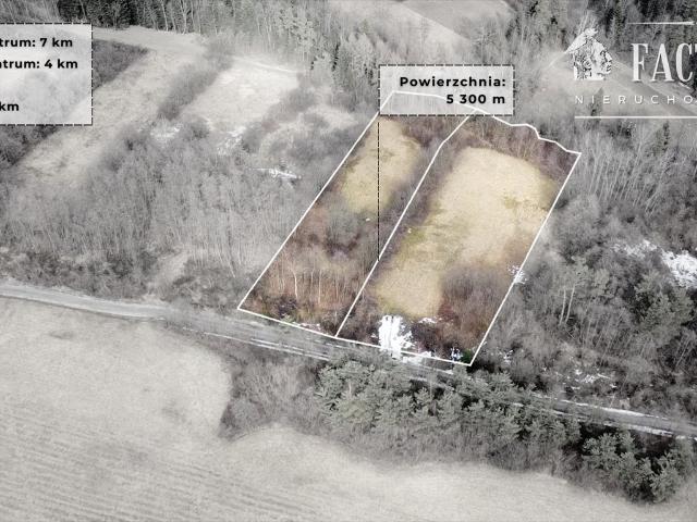 Unikalna działka 92 arów z lasem i możliwością zabudowy