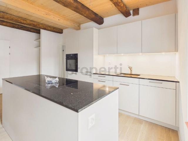 Unique 3.5 room apartment with historic character