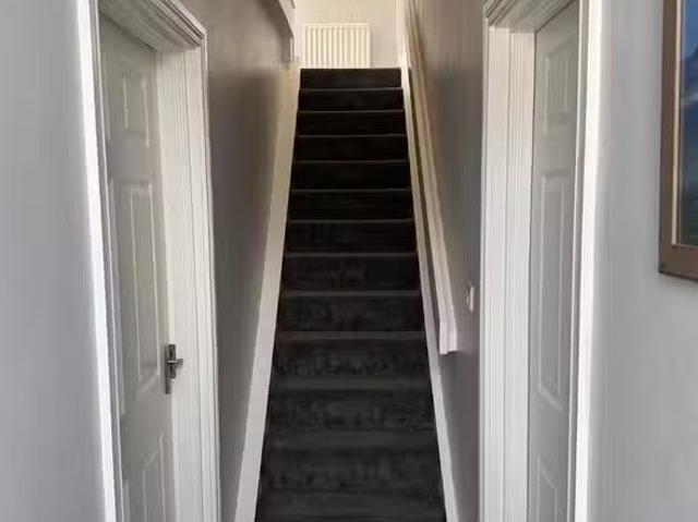 Deal! 56 Carson Street