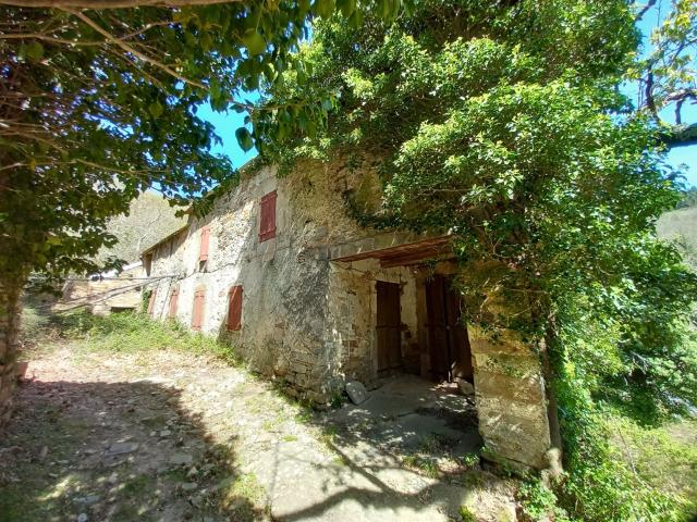 Unique ! ancienne Ferme à rénover sur 15Ha de patures et boi. 200m² Prémian