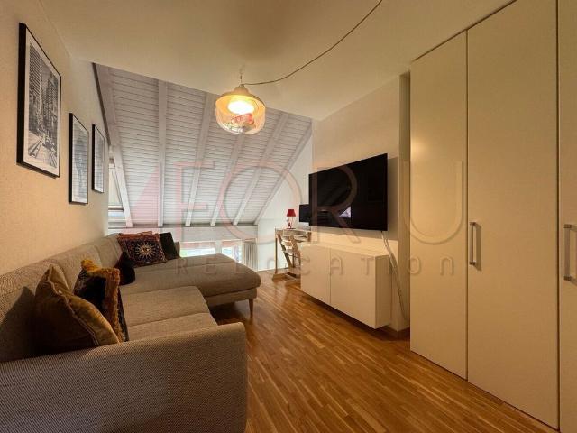 Unique, beautiful and large 6.5 room triplex penthouse in Plan les Ouates