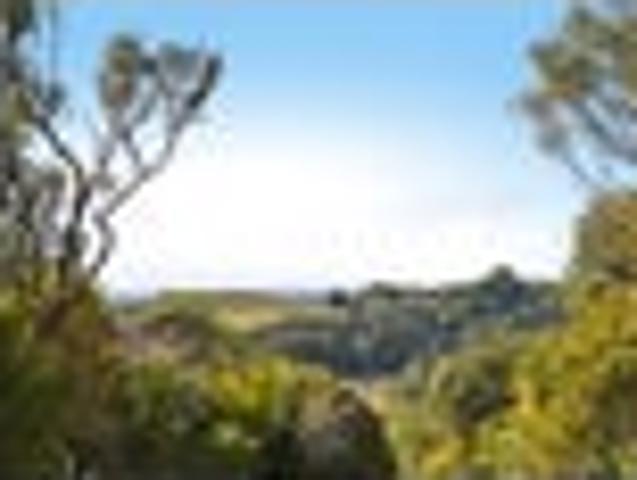 Pakiri Wild, Untouched, Sea Views
