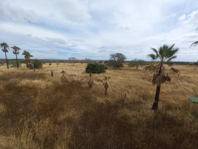 Unveiling opportunity: 23.4 hectares of vacant farmland for sale