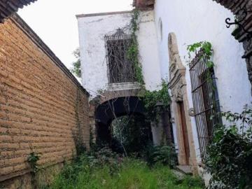 USO DE SUELO MIXTO