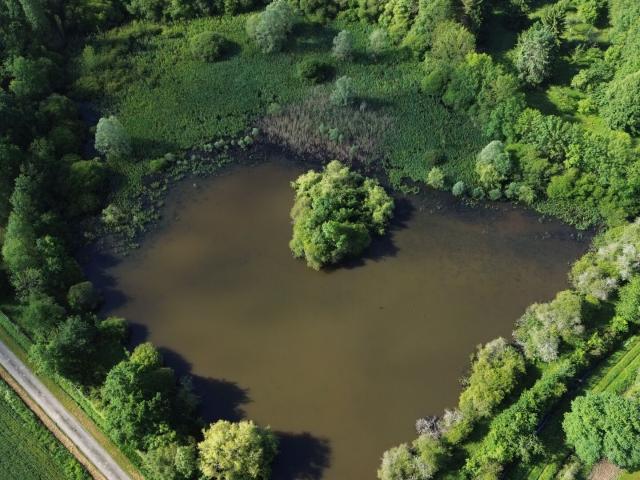 Usson du Poitou Vente Terrain 86