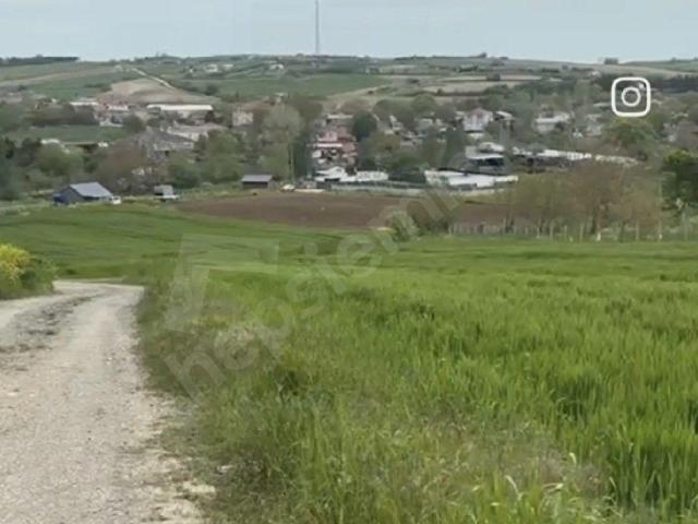 ÜSTÜN EMLAKTAN ÇATALCA DAĞYENİCEDE SATILIK TARLA KÖYE YAKIN KONUMDA