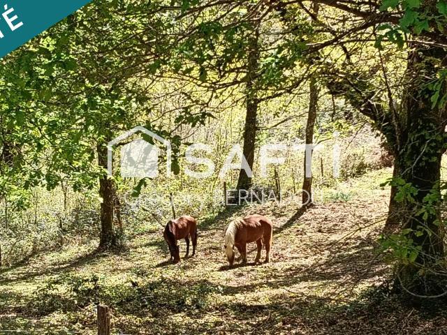 Ustaritz Vente Maison 64