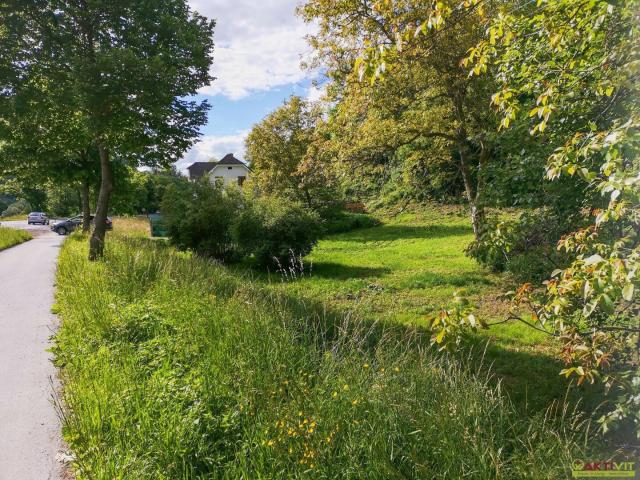 Update! Freiland Grundstück an der Grazer Stadtgrenze. Vielfältige Nutzungsmöglichkeiten