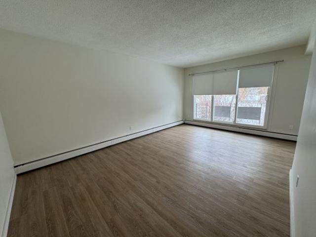 Updated 2 Bed, 2 Months Free | Pet Friendly | In Suite Laundry