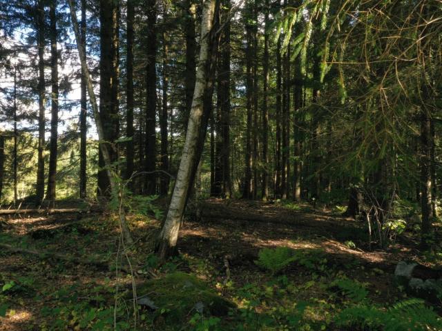 Uppegårdsvägen Tomt i Landve