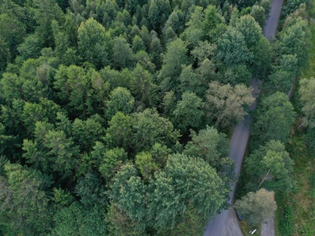 Uppegårdsvägen Tomt i Landve