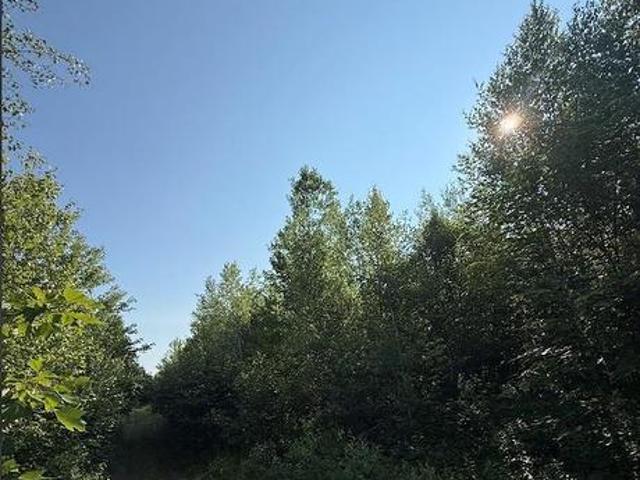 Upper Vail Road, Gagetown, NB, E5M 1J1 vacant land for sale | Listing ID NB144033 | Royal LePage