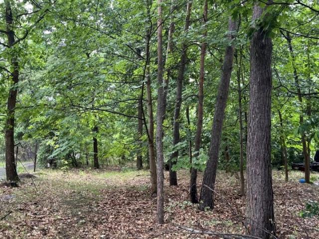 Urocza 2 500 m², Złotokłos