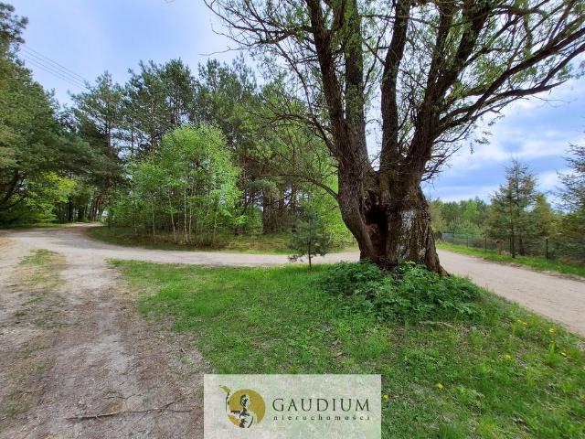 Urokliwa działka leśna 1706 m² w Bartoszylasie