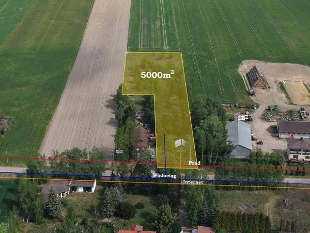 Urokliwa działka rolna 5000 m² w Cholewach, dostęp do mediów