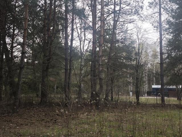 Urokliwa działka 1500 m² pod zabudowę w Wólce