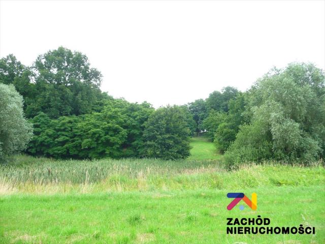 Urokliwa działka 2,26 ha z domem i stawem