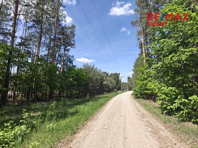 Zapraszam do zakupu działki 5400 m² z lasem w Krzyżówce
