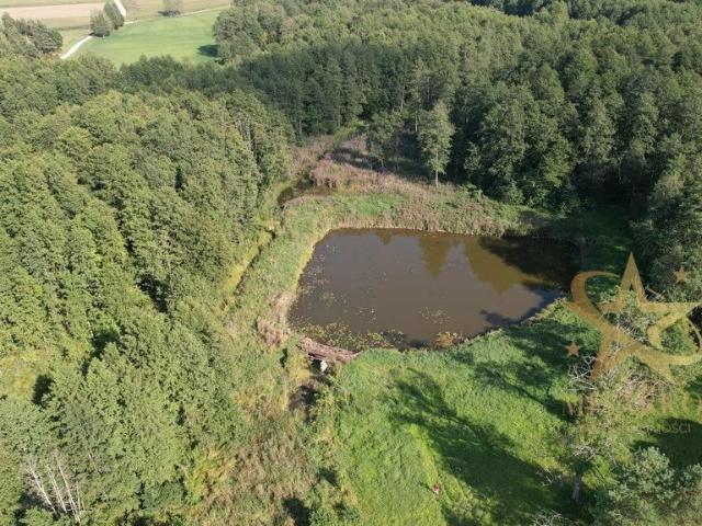 Urokliwa działka 5,96 ha z wodą i potencjałem
