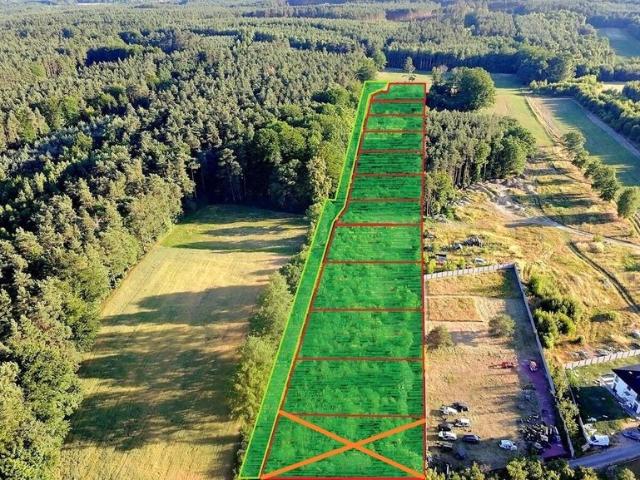 Działki w Olbrachtowie z lasem, od 966 m², promocyjna cena