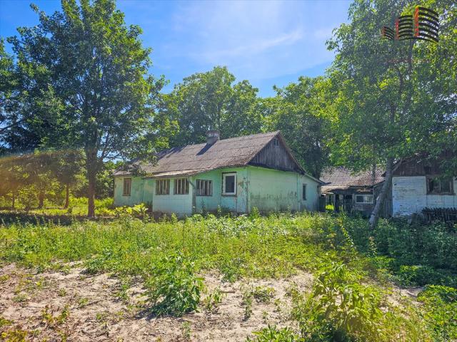 Siedlisko 80 m² z potencjałem 4 działki, las, pola