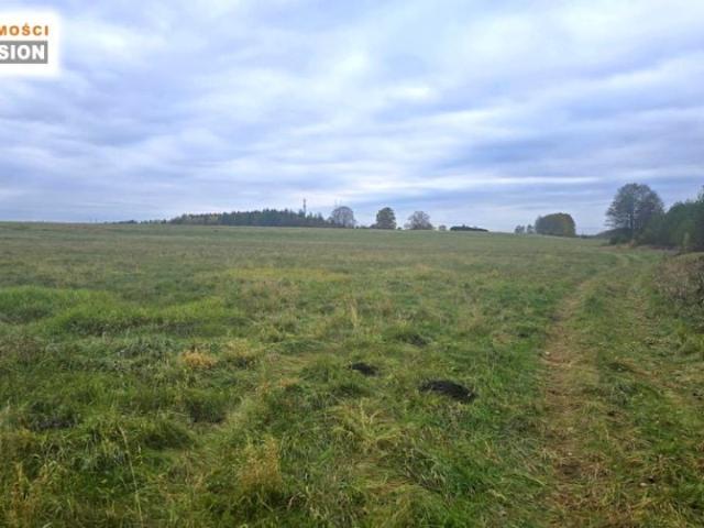 Urokliwie położona 15 268 m², Dąbrowa Górnicza