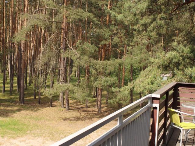 Urokliwy apartament z widokiem na las i jezioro Sławskie